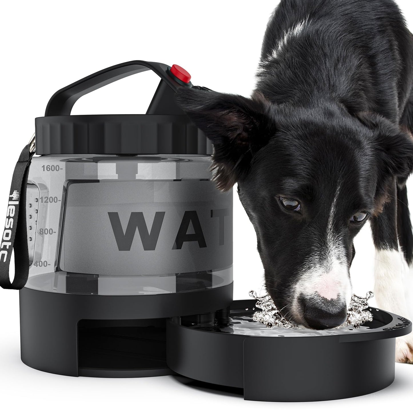 Large Dog Travel Water Bowl Dispenser